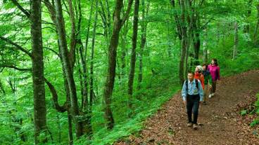 施設の敷地 / 16