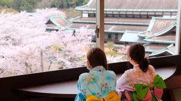 ランド ビュー / 15