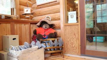 内装の詳細 / 12