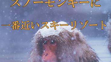 観光スポット / 20