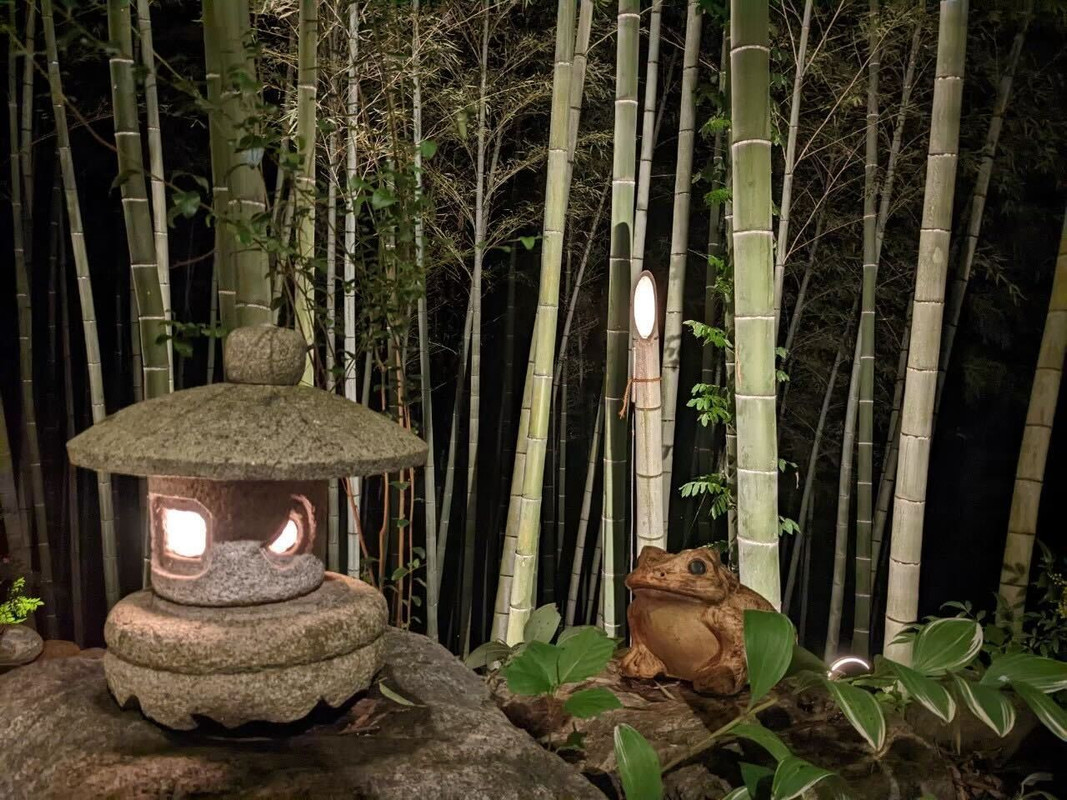 ライトアップされた竹林