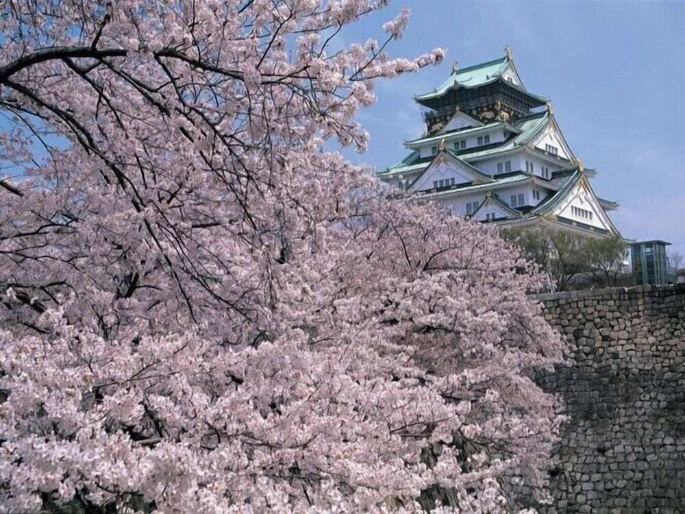 観光スポット