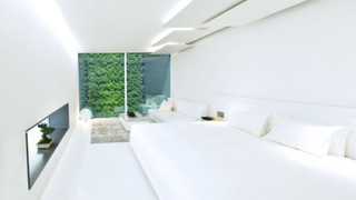 MOGANA White