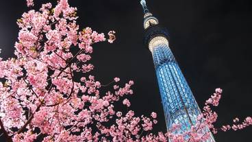 観光スポット / 3