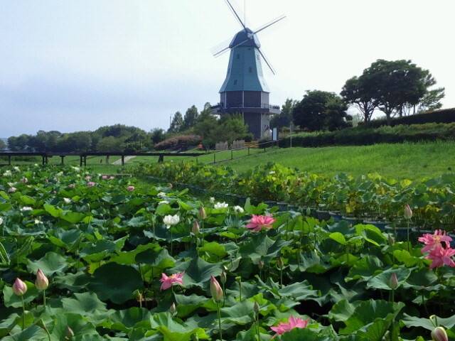 霞ヶ浦総合公園 / 5