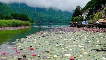 観光スポット / 4