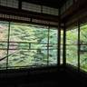 mikip__22さんの写真