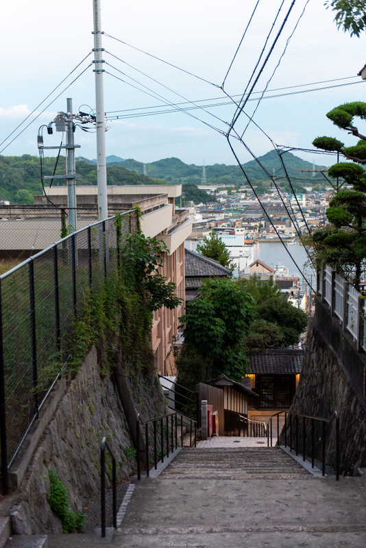 ayaka_taiさんの写真 / 5