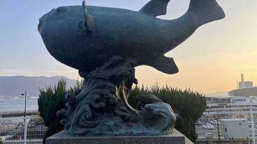 ランド ビュー / 36