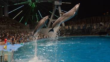 観光スポット / 3