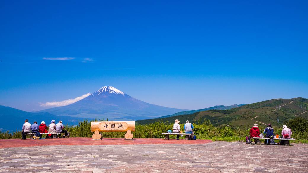 愛犬と行く♪
景色のいい場所へ / 1