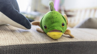 コンフォート ルーム 禁煙 共用バスルーム