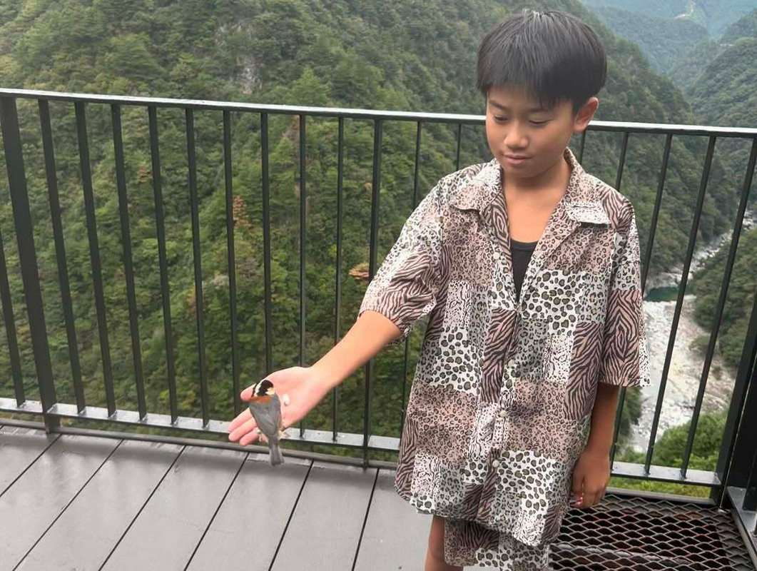 terurisamasaさんの写真 / 1