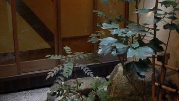 施設の敷地 / 13