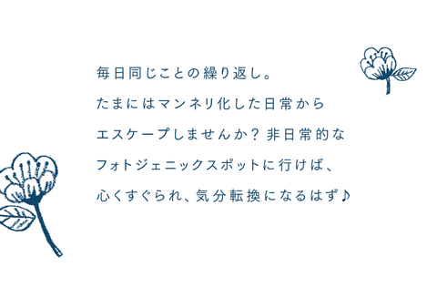 大人のフォトジェニック女子旅。乙女心をくすぐる金沢へ - 1