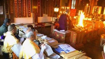 シアター ショー / 22