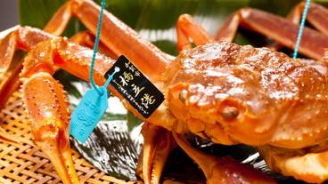 食事・飲み物 / 13