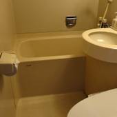 奥鬼怒温泉 加仁湯（かにゆ）（栃木県 リゾートホテル） / 4