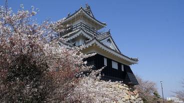 観光スポット / 5