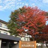 碧の美 ゆゆ（北海道 旅館） / 5