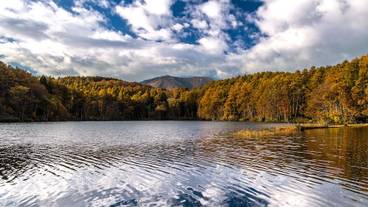 観光スポット / 14