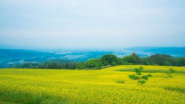 施設の敷地 / 22