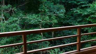 客室からの眺望一例 / 9