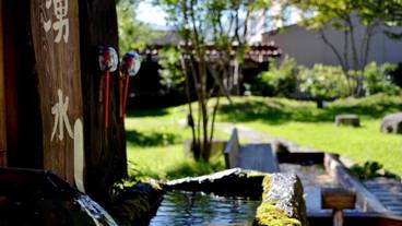 施設の敷地 / 19