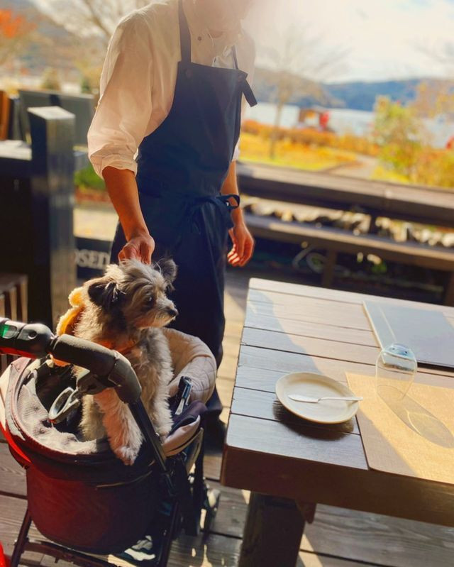 「Neo Bistro いずの蔵」の店内は、ログハウスを思わせる木の温もり溢れる空間。室内のカウンターやテーブル席の他、オープンテラスも◎ / 2