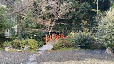 部屋からの景観 / 15