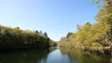 観光スポット / 14