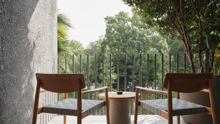 パークビュースタンダード + バルコニー