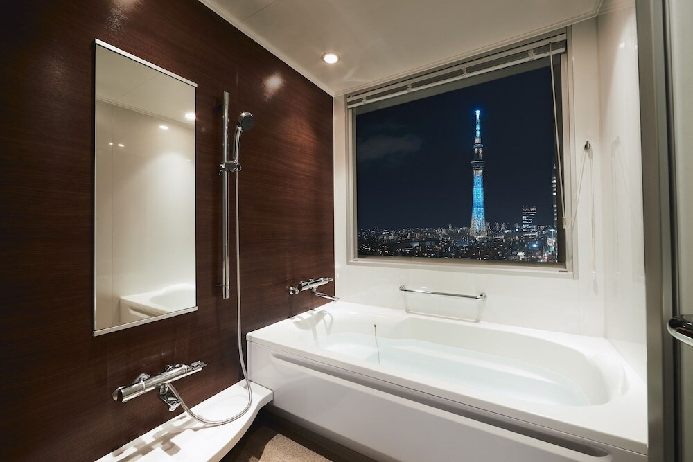 ロッテシティホテル錦糸町（ロッテシティホテルキンシチョウ） / 10