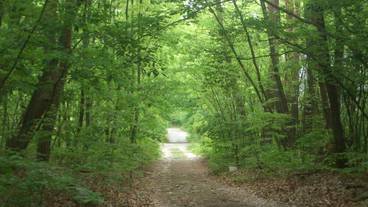 施設からの眺望 / 19