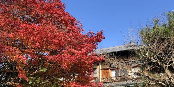 吉田山荘（京都府 旅館） / 1