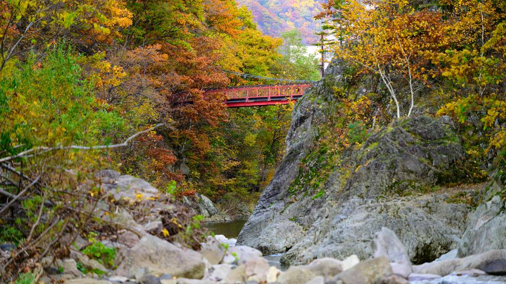 二見吊橋 紅葉 / 3