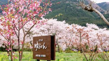 施設の入り口 / 15