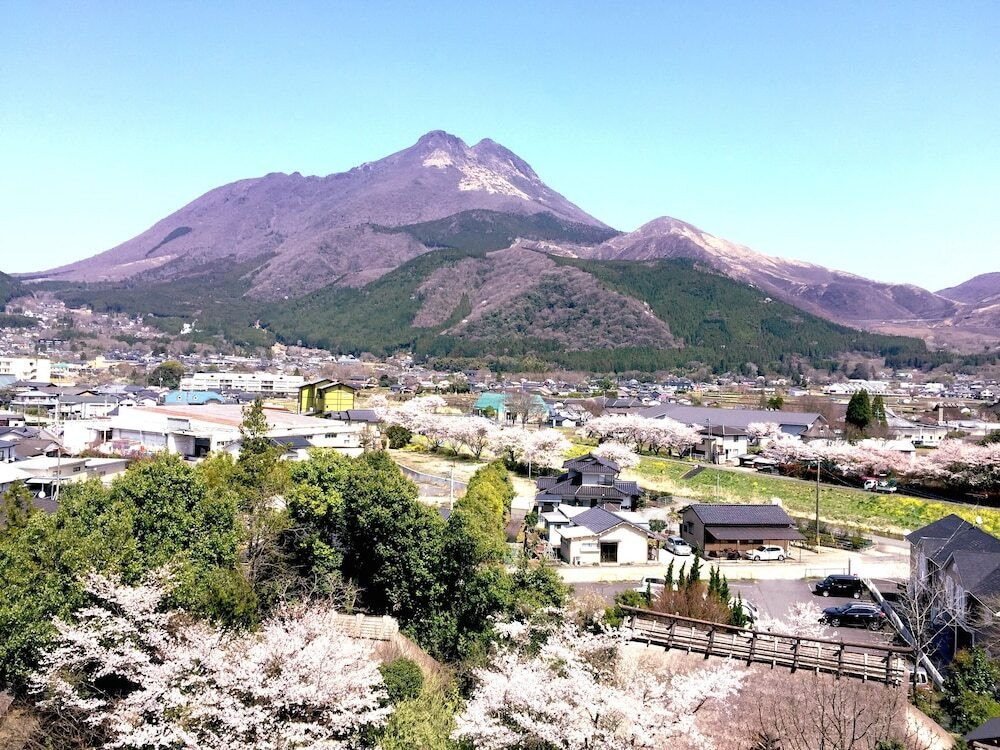 マウンテン ビュー