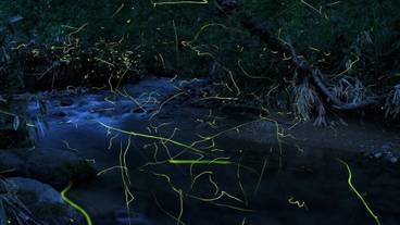 施設の敷地 / 16