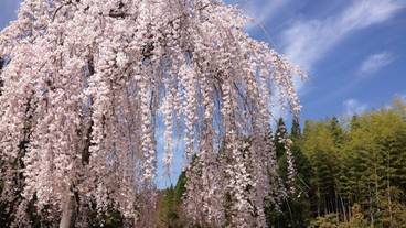 施設からの眺望 / 17