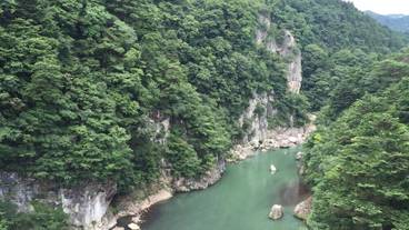 施設からの眺望 / 37