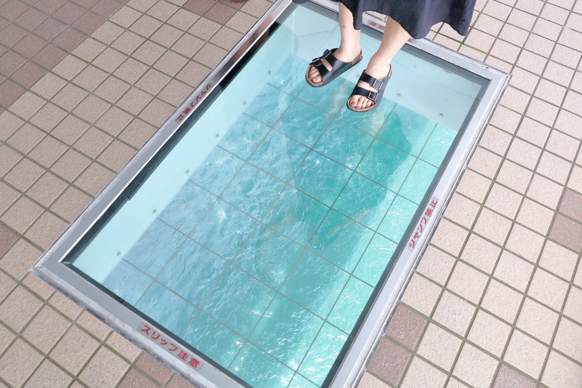 渦の道