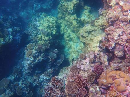 Blue Ocean Resort / 2