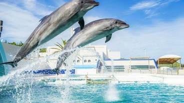 鴨川グランドタワー（カモガワグランドタワー） / 1