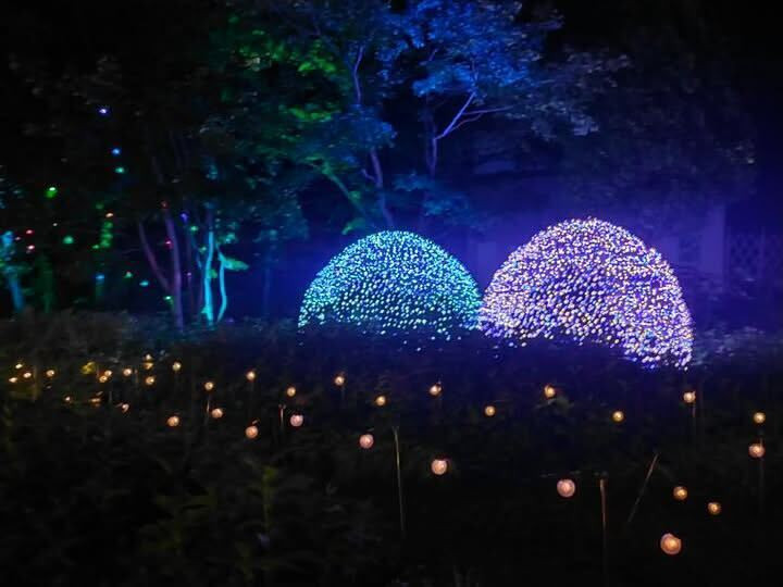 milkyandchyocoさんの写真 / 1