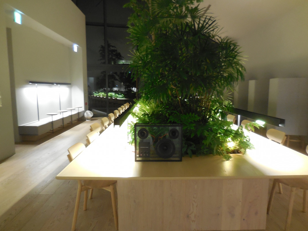 フリースペース。おしゃれ。