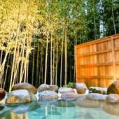 奈良偲の里 玉翠（静岡県 旅館） / 4