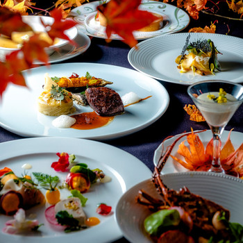 「ナチュラルリゾートハイジア」 その他 96607732 