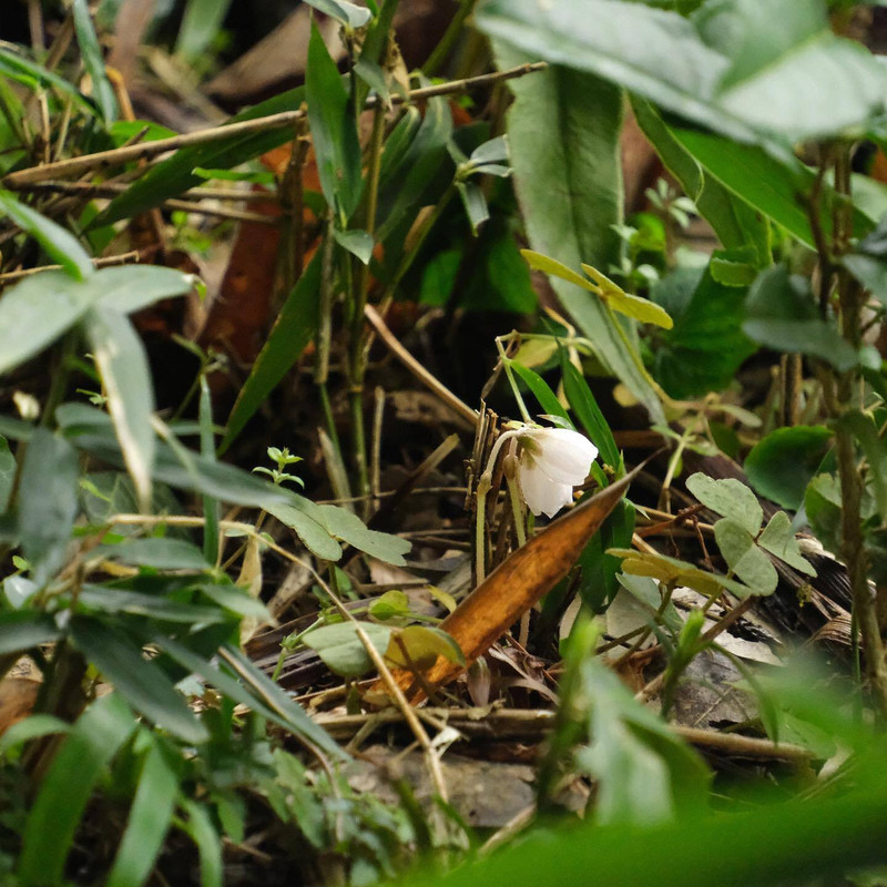 zunko0306さんの写真 / 4