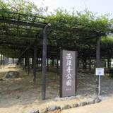 豊田熊野記念公園（トヨダユヤキネンコウエン）